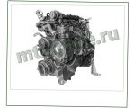 Д245-06 двигатель МТЗ-1020 1025